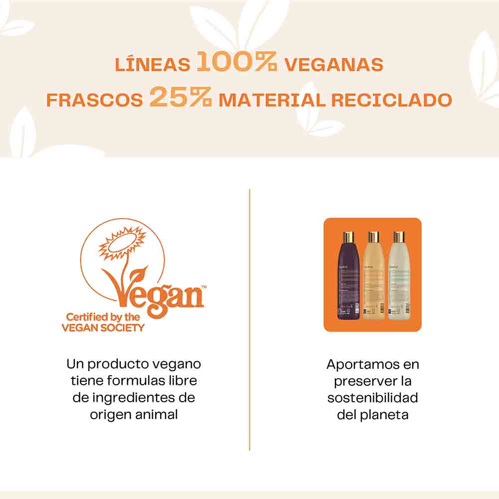 Shampoo Acido Hialuronic Q10 - Image 4